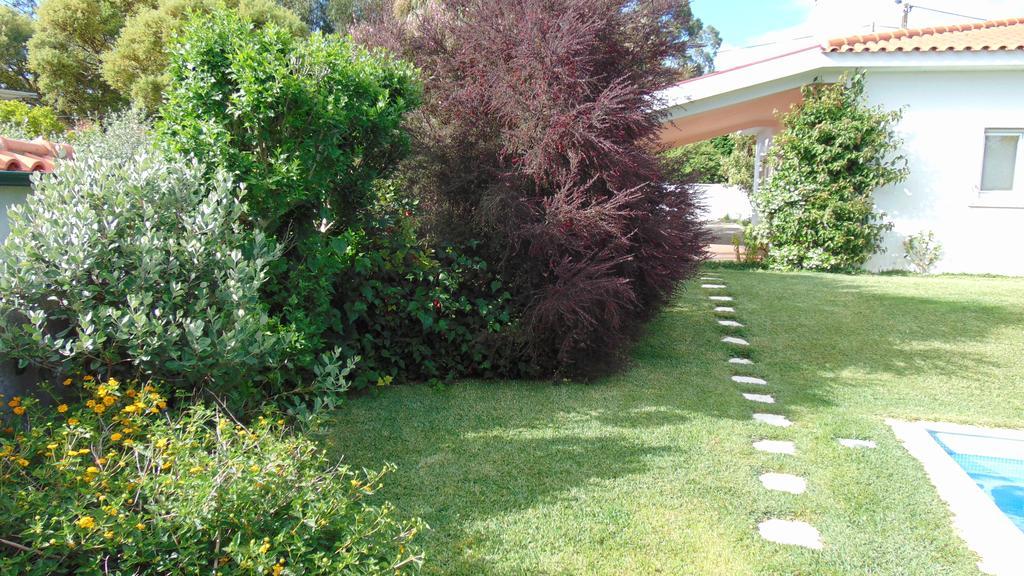 הוילה Casa Landim מראה חיצוני תמונה